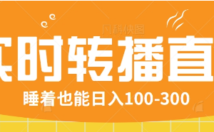 24小时实时转播别人红包小游戏直播间，睡着也能日入100-300【全套教程工具免费】-麦资源网