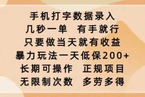 手机打字数据录入，几秒一单，有手就行，只要做当天就有收益，暴力玩法一天低保2张-麦资源网