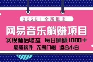 （14185期）2025最新网易云躺赚项目 每天几分钟 轻松3万+-麦资源网