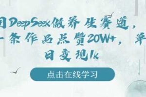 用DeepSeek做养生赛道，一条作品点赞20W+，单日变现1k-麦资源网