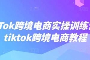 TikTok跨境电商实操训练营，tiktok跨境电商教程-麦资源网