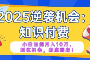（14166期）2025逆袭项目——知识付费，小白也能月入10万年入百万，抓住机会彻底翻…-麦资源网