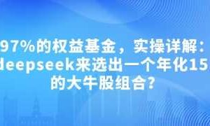 付费文章：吊打97%的权益基金，实操详解：如何利用deepseek来选出一个年化15.55%的大牛股组合?-麦资源网
