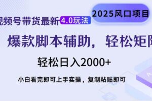 （14071期）视频号带货最新4.0玩法，作品制作简单，当天起号，复制粘贴，轻松矩阵…-麦资源网