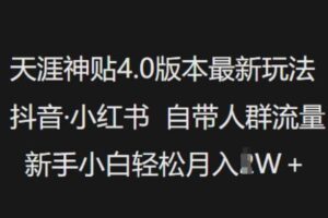 天涯神贴4.0版本最新玩法,抖音·小红书自带人群流量,新手小白轻松月入过W-麦资源网