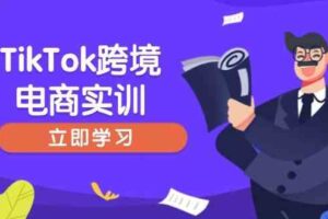 TikTok跨境电商实训，开店准备与选品策略，助力新手快速上手, 精准运营-麦资源网