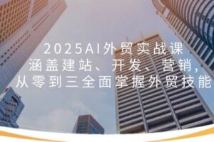 （14135期）2025AI外贸实战课：涵盖建站、开发、营销, 从零到三全面掌握外贸技能-麦资源网