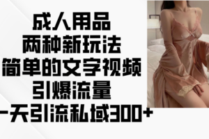 成人用品两种新玩法，简单的文字视频引爆流量，一天引流私域300+-麦资源网