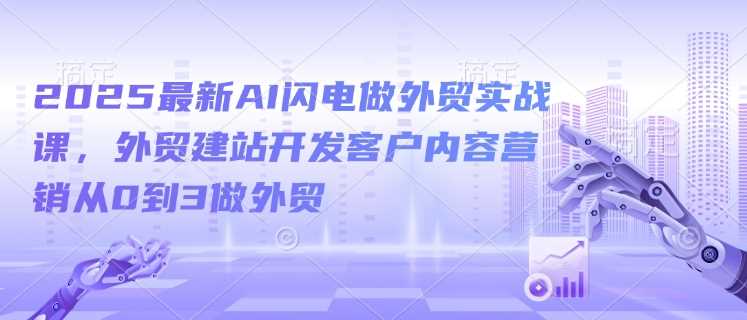 2025*AI闪电做外贸实战课，外贸建站开发客户内容营销从0到3做外贸