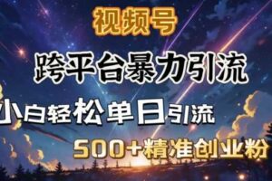 跨平台暴力引流，私域完美闭环，日引500+精准创业粉-麦资源网
