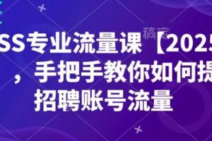 BOSS专业流量课【2025新课】，手把手教你如何提升招聘账号流量-麦资源网