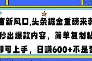 （14434期）财富新风口,头条掘金重磅来袭AI秒出爆款内容简单复制粘贴即可上手，日…-麦资源网