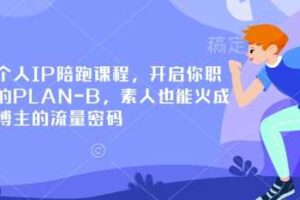 小红书个人IP陪跑课程，开启你职业生涯的PLAN-B，素人也能火成为百万博主的流量密码-麦资源网