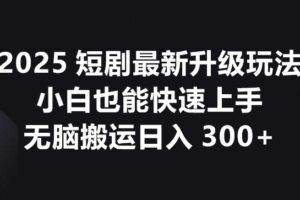 2025短剧最新升级玩法，小白也能快速上手，无脑搬运日入300+-麦资源网