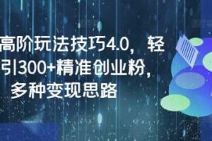 闲鱼高阶玩法技巧4.0，轻松日引300+精准创业粉，多种变现思路-麦资源网