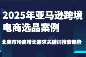 2025年亚马逊跨境电商选品案例-北美市场高增长需求关键词搜索趋势（更新)-麦资源网