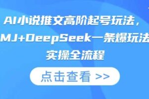 AI小说推文高阶起号玩法，MJ+DeepSeek一条爆玩法实操全流程-麦资源网