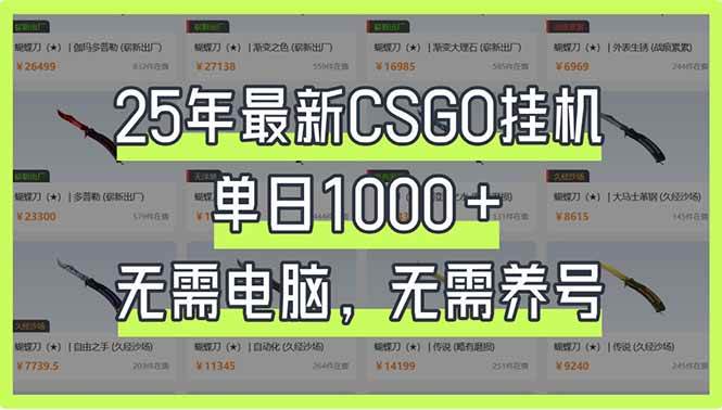图片[1]-（14178期）25年最新CSGO挂机系统，单日1000+，无需电脑，无需养号，0基础可上手