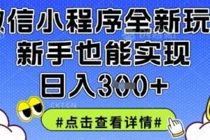 微信小程序全新玩法，新手也能实现日入3张【揭秘】-麦资源网