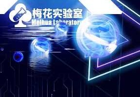 视频号连怼玩法-5760大尺寸去重AB技术-梅花实验室社群专享-麦资源网