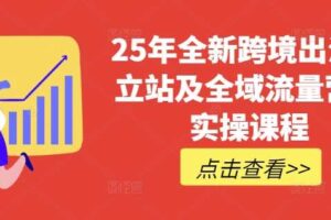 25年全新跨境出海独立站及全域流量营销实操课程，跨境电商独立站TIKTOK全域营销普货特货玩法大全-麦资源网