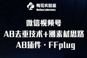 视频号连怼玩法-FFplug玩法AB插件使用+测素材教程-梅花实验室社群专享课-麦资源网