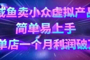 咸鱼卖小众虚拟产品，简单易上手，单店一个月利润破W-麦资源网