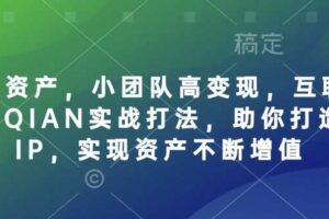 个人IP资产，小团队高变现，互联网全链路赚QIAN实战打法，助你打造个人IP，实现资产不断增值-麦资源网