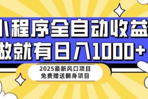 （14398期）25年最新风口，小程序自动推广，，稳定日入1000+，小白轻松上手-麦资源网