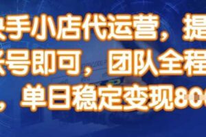 快手小店代运营，提供账号即可，团队全程操盘，单日稳定变现8张【揭秘】-麦资源网