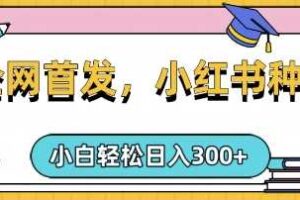 小红书种草，手机项目，日入3张，复制黏贴即可，可矩阵操作，动手不动脑【揭秘】-麦资源网