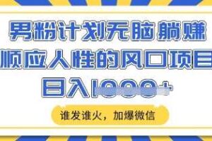 男粉计划无脑躺Z，顺应人性的风口项目，谁发谁火，加爆微信，日入多张【揭秘】-麦资源网