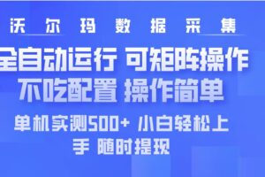 (14560期)最新沃尔玛平台采集 全自动运行 可矩阵单机实测500+ 操作简单-麦资源网