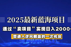 2025年蓝海项目，如何通过“网创项目”日入2000+-麦资源网