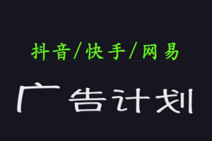 2025短视频平台运营与变现广告计划日入1000+，小白轻松上手-麦资源网
