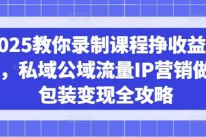 2025教你录制课程挣收益项目，私域公域流量IP营销做图包装变现全攻略-麦资源网