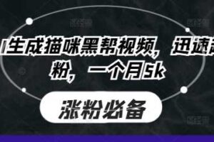 即梦AI生成猫咪黑帮视频，迅速起号涨粉，一个月5k-麦资源网