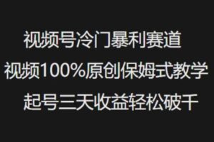 视频号冷门暴利赛道视频100%原创保姆式教学起号三天收益轻松破千-麦资源网