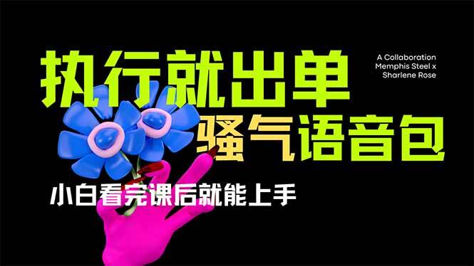 图片[1]-（14170期）爆火全网的开车导航骚气语音包,只要执行就出单，小白看完课程就能实操…