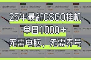 （14178期）25年最新CSGO挂机系统，单日1000+，无需电脑，无需养号，0基础可上手-麦资源网