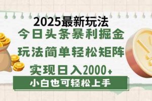 （14120期）今日头条2025最新玩法，思路简单，复制粘贴，轻松实现矩阵日入2000+-麦资源网