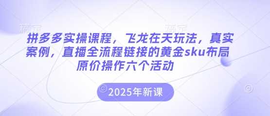 拼多多实操课程，飞龙在天玩法，真实案例，直播全流程链接的黄金sku布局*操作六个活动