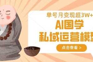 AI国学私域运营模型，单号月变现过W-麦资源网