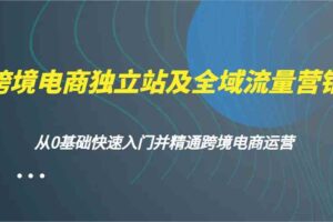跨境电商独立站及全域流量营销，从0基础快速入门并精通跨境电商运营-麦资源网