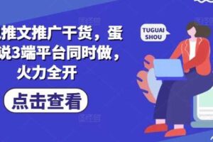 小说推文推广干货，蛋花小说3端平台同时做，火力全开-麦资源网