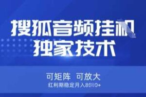 【搜狐音频挂G】独家技术，可矩阵可放大，红利期稳定月入8k【揭秘】-麦资源网