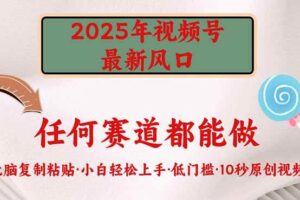 （14453期）2025年视频号新风口，低门槛只需要无脑执行-麦资源网