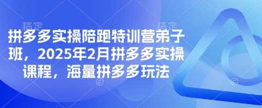 拼多多实操陪跑特训营*班，2025年2月拼多多实操课程，海量拼多多玩法