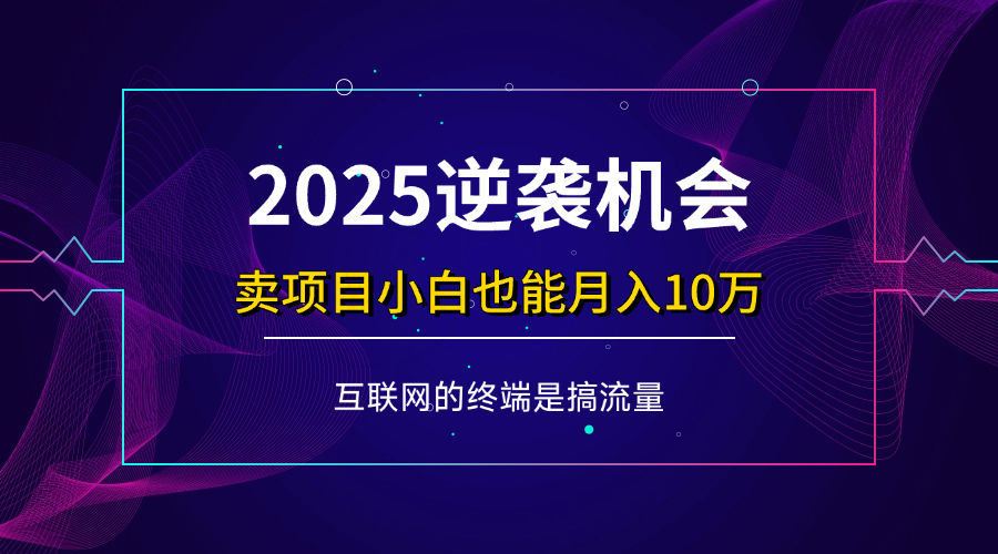 图片[1]-（14122期）项目标题：2025逆袭机会，卖项目小白也能轻松月入10万+