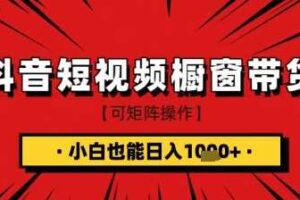 抖音短视频食品橱窗带货，小白轻松上手日入1k+【揭秘】-麦资源网